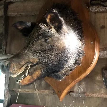 La Des Trappeurs Crépy-en-Valois