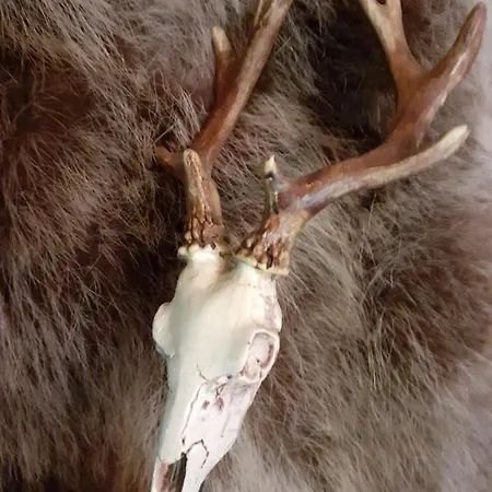 La Des Trappeurs * Crépy-en-Valois