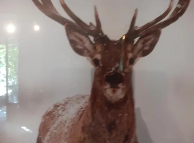 Chalé La Des Trappeurs *