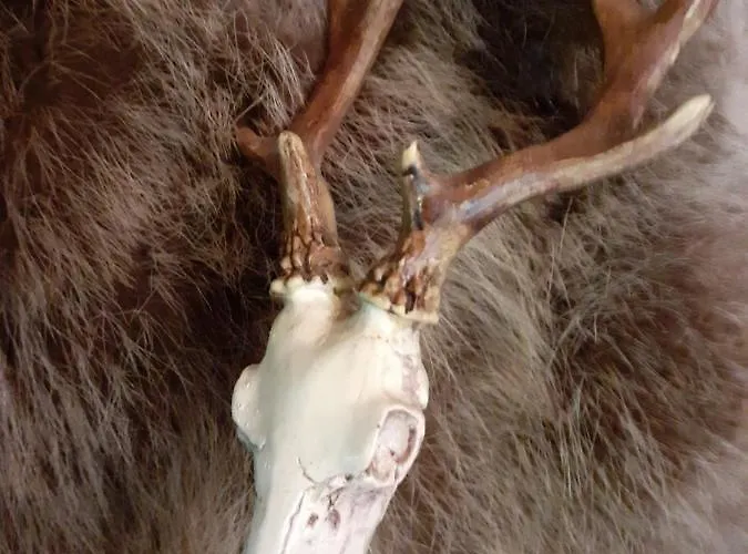 La Des Trappeurs * Crépy-en-Valois